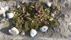 Landart in Hemhof